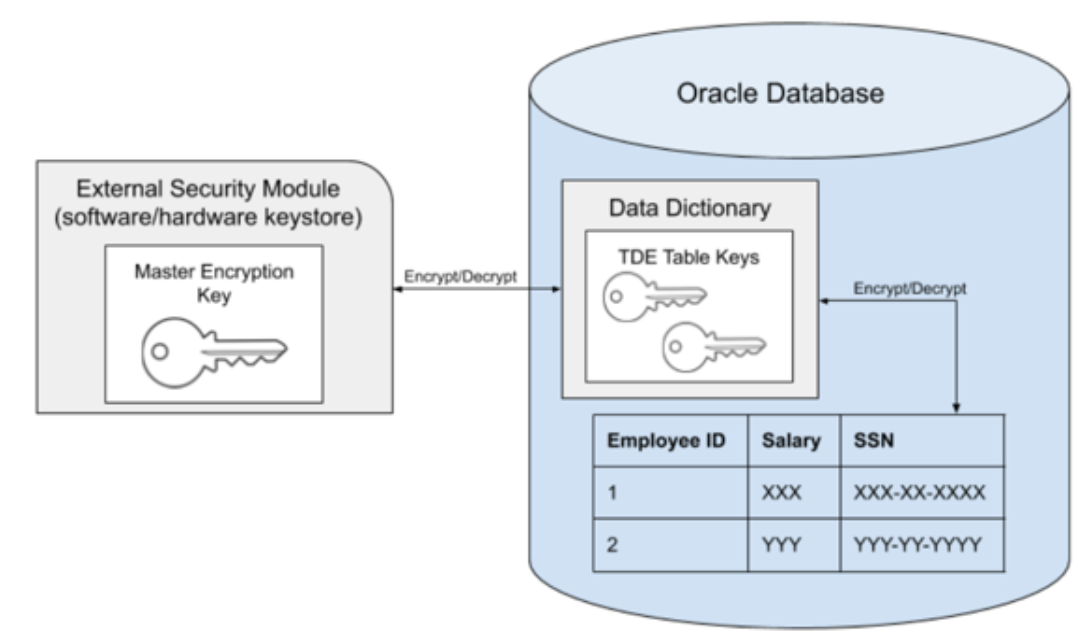 Transparent data encryption and Delphix